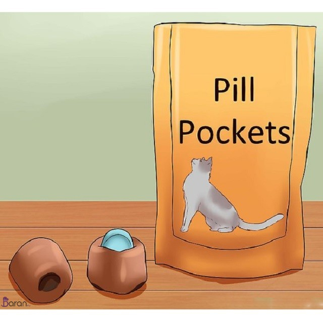 آموزش قرص دادن به گربه آموزش قرص دادن به گربه