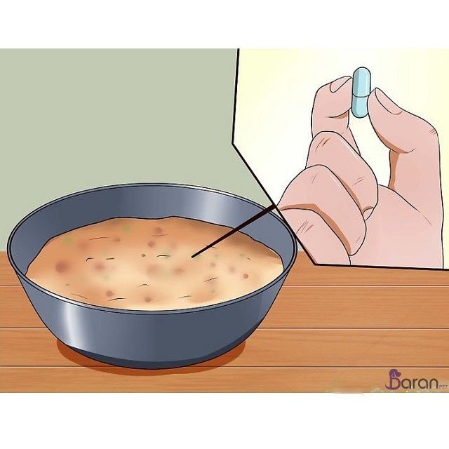 آموزش قرص دادن به گربه آموزش قرص دادن به گربه