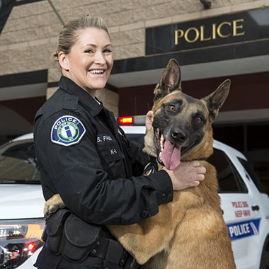 استفاده از سگ نژاد مالینویز در نیروی پلیس