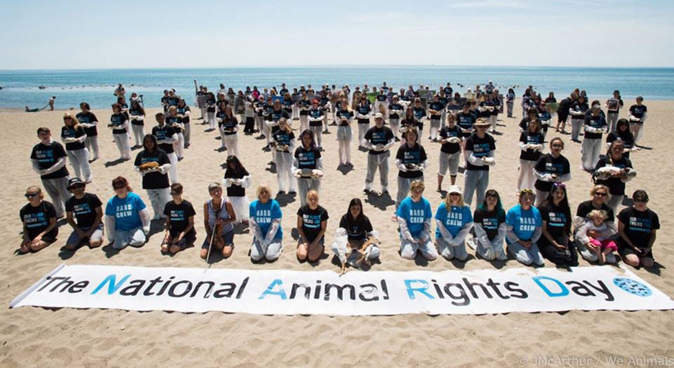 روز جهانی حقوق حیوانات