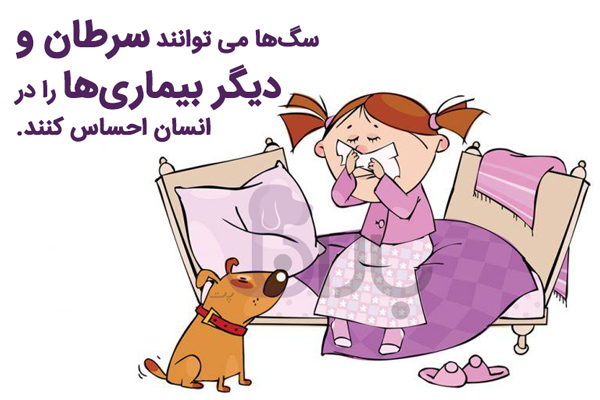 سرطان و سایر بیماری ها