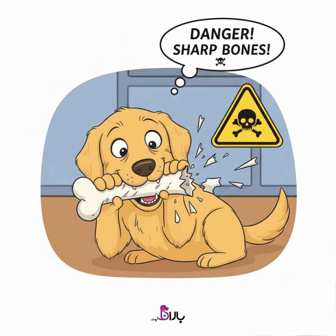 غذا های ممنوعه سگ