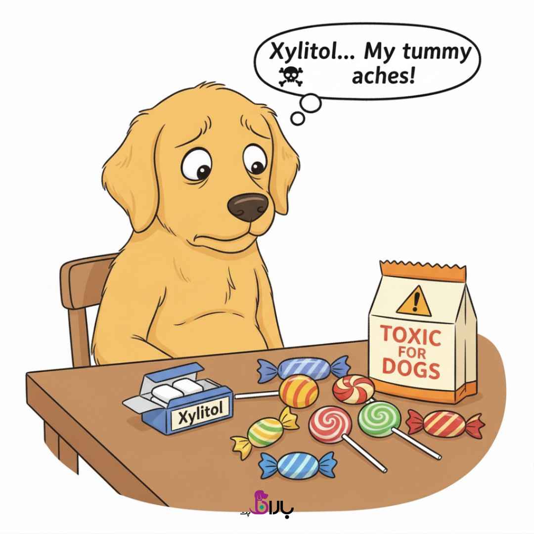 غذا های ممنوعه سگ