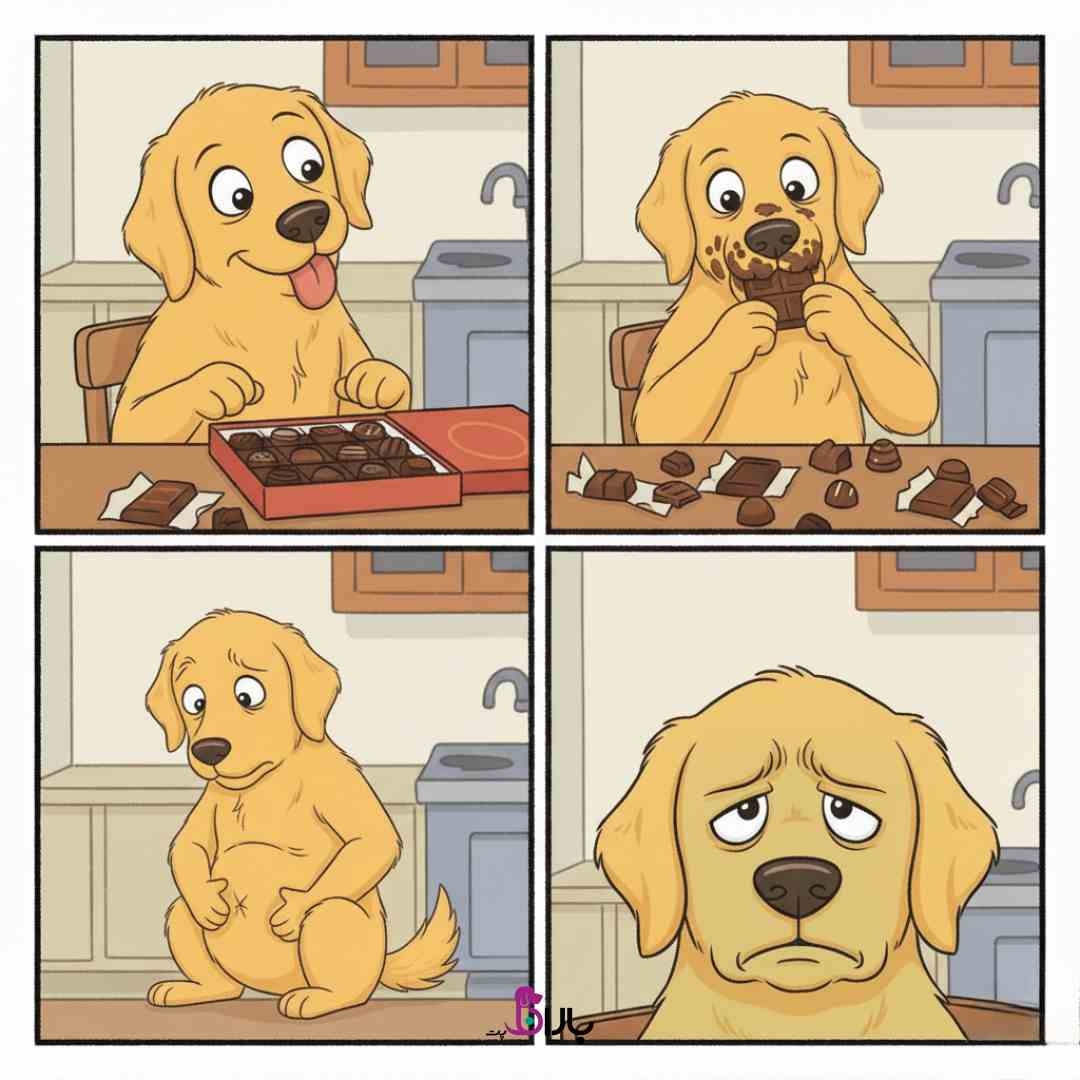 غذا های ممنوعه سگ