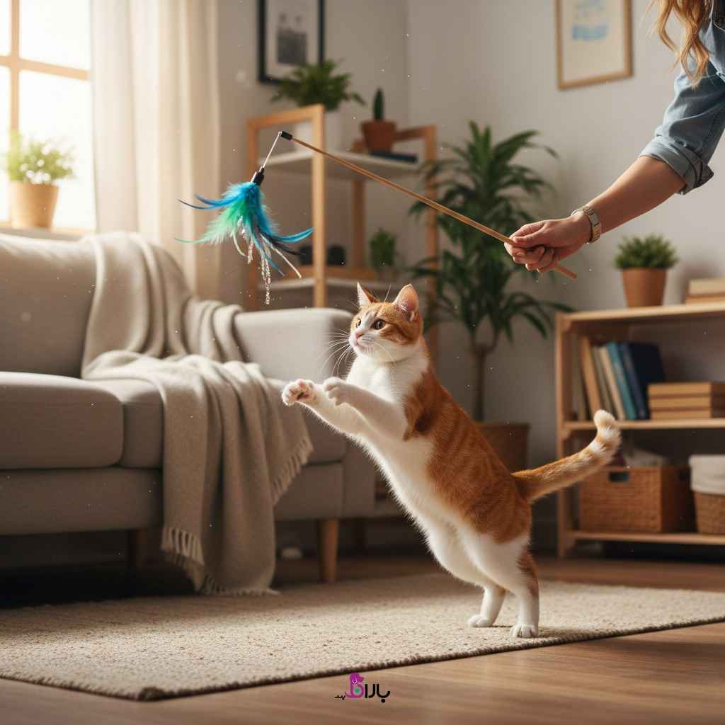 بهترین اسباب بازی برای گربه