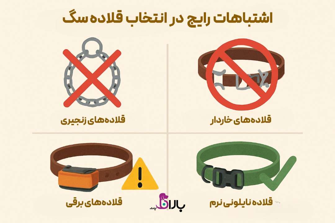 انواع قلاده سگ