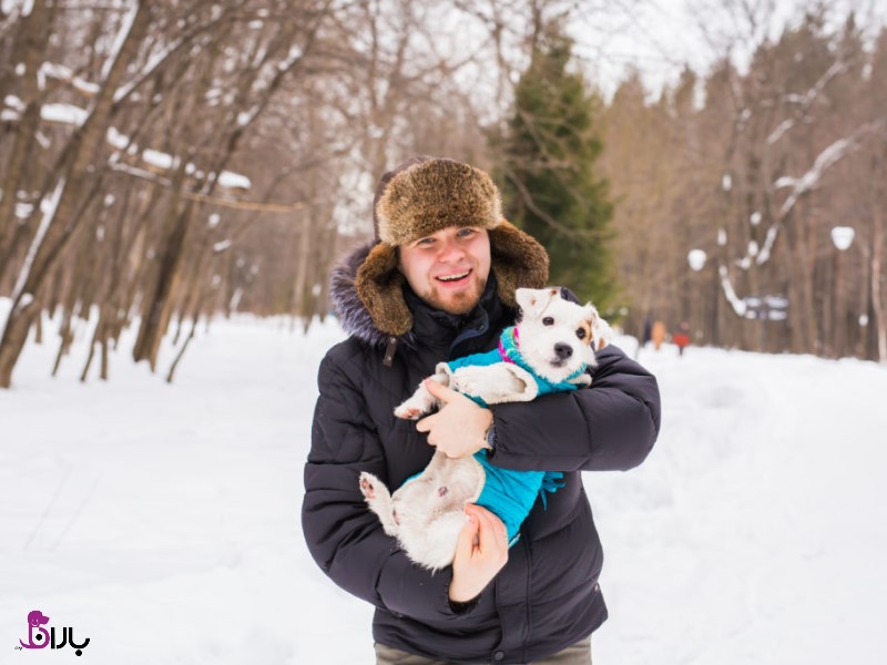 آلرژی سگ در زمستان