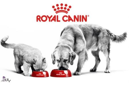 معرفی برند رویال کنین (Royal Canin)