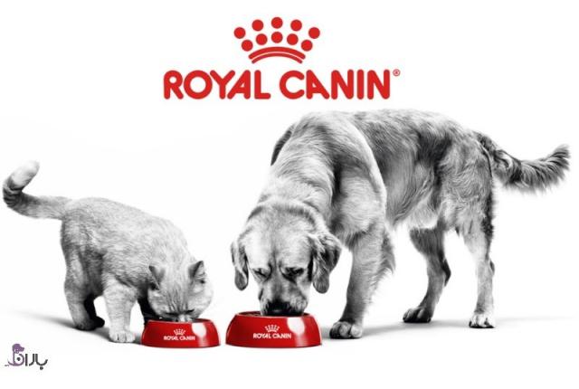 معرفی برند رویال کنین (Royal Canin)