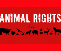 روز جهانی حقوق حیوانات 
