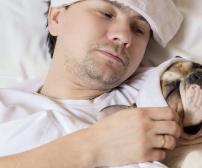 آیا سگ ها از انسان بیماری می گیرند؟