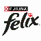 فلیکس
