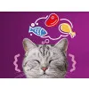 پوچ گربه ویسکاس پیشنهاد سرآشپز در سس گوشت Whiskas 1+ Tasty Mix Chefs Choice In Gravy،