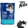 پوچ گربه فلیکس حاوی خرگوش Felix Tenderes fillet Rabbit