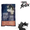پوچ گربه فلیکس سالمون Purina Felix Salmon Pouch