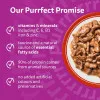  پوچ گربه ویسکاس انواع گوشت در ژله Whiskas Meaty Meals in Jelly 