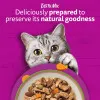 پوچ گربه ویسکاس پیشنهاد سرآشپز در سس گوشت Whiskas 1+ Tasty Mix Chefs Choice In Gravy،
