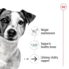 پوچ سگ نژاد کوچک بالای 8 سال رویال کنین : Royal Canin Mini Ageing