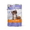 پوچ بچه گربه پلایزر حاوی مرغ و پودر شیر (100 گرم)