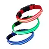 قلاده گردنی سگ با چراغ ال ای دی Dog Collar With LED light Size L