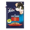پوچ گربه فلیکس حاوی گوشت (100 گرم)
