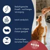 غذا خشک گربه داخل خانه دکتر کلادرز Dr. Clauder's High Premium Indoor