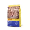 غذای گربه دیلی کت جوسرا (2 کیلوگرم)