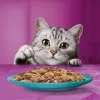 پک پوچ گربه ویسکاس انواع ماهی دریایی در ژله Whiskas 1+ Duo Ocean Delights in Jelly
