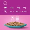 پک پوچ گربه ویسکاس انواع ماهی دریایی در ژله Whiskas 1+ Duo Ocean Delights in Jelly