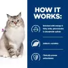 غذای خشک گربه هیلز مدل Mobility