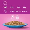 پوچ گربه ویسکاس انواع ماهی در ژله پک اورجینال  Whiskas Fish Favourites in Jelly 