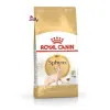 غذای خشک گربه اسفینکس بالغ رویال کنین Royal Canin Adult Sphynx وزن 2 کیلوگرم