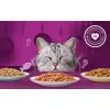 پوچ گربه ویسکاس گلچین طعم های بین المللی در سس پک اورجینال WHISKAS® 1+ Tasty Mix Country Collection In Gravy 
