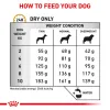 رویال کنین یورینری S/O مخصوص سگ نژاد کوچک Royal Canin Urinary S/O Small Dog