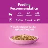 پک پوچ کیتن ویسکاس گوشت پرندگان در ژله  Whiskas Kitten Poultry Feasts in Jelly  