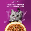 پوچ گربه ویسکاس منتخب انواع مرغ معطر بی نظیر در سس سبزیحات  WHISKAS® 1+ Aromatic Purrfect Poultry Selection