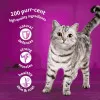  پوچ گربه ویسکاس انواع گوشت در ژله Whiskas Meaty Meals in Jelly 