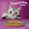  پک پوچ گربه ویسکاس گوشت و ماهی در ژله Whiskas Surf & Turf in Jelly