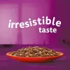  پوچ گربه ویسکاس انواع گوشت در ژله Whiskas Meaty Meals in Jelly 