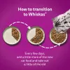 پک پوچ گربه ویسکاس انواع ماهی دریایی در ژله Whiskas 1+ Duo Ocean Delights in Jelly