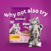 پک پوچ کیتن ویسکاس گوشت پرندگان در ژله  Whiskas Kitten Poultry Feasts in Jelly  