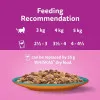  پک پوچ گربه ویسکاس گوشت و ماهی در ژله Whiskas Surf & Turf in Jelly