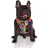 هارنس شکمی سگ طرح اسنوپی ZOOZ PETS Snoopy Dog Harness 