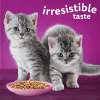 پک پوچ بچه گربه ویسکاس گوشت پرندگان در ژله Whiskas Kitten Poultry Feasts in Jelly