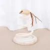اسباب بازی گربه استند موش فنری Interactive Spring Spiral Cat Toy With Mouse