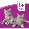 پوچ گربه ویسکاس انواع ماهی در سس گریوی Whiskas Catch Of The Day in Gravy