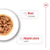 پوچ سگ نژاد کوچک بالای 8 سال رویال کنین : Royal Canin Mini Ageing
