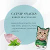 بستنی کت نیپ دار گربه بایولاین با طعم خرگوش Bioline Catnip Snacks Rabbit Flavor