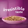  Whiskas Kitten Wet Cat Food 