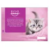  Whiskas Kitten Wet Cat Food 